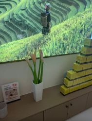 -头道汤头疗养生馆