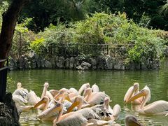 -云南野生动物园