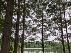 -白鹭湾湿地公园