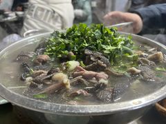 -小杨翘脚牛肉