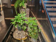 -连鹭海鲜·海肠捞饭·海胆饭(星海店)