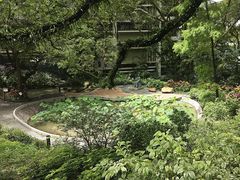 -香港大学