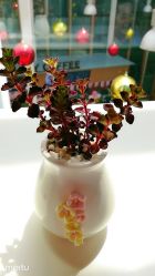 -安利上海体验馆