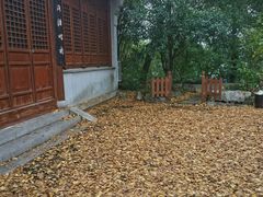 -宝界山林公园