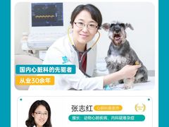 -美联众合动物医院·24h转诊中心