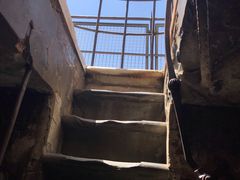 -圣母百花大教堂穹顶