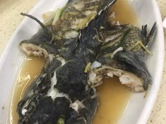-渔中舟海鲜大排档(普陀沈家门店)