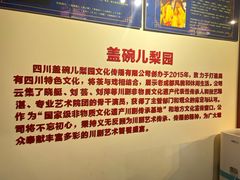-盖碗儿梨园·变脸吐火·川剧(天府广场店)