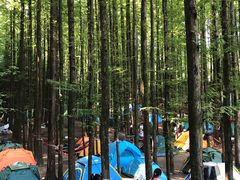 -山王坪喀斯特国家生态公园