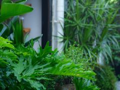-云里小坐·小院里·团建·宴请·下午茶(三圣乡店)