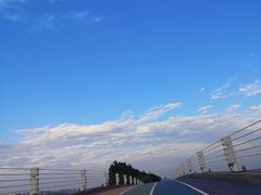 -贡湖湾湿地公园