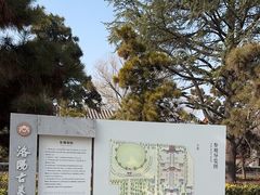 -洛阳古墓博物馆