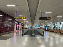 -英迪拉·甘地国际机场