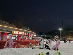 -蓟洲国际滑雪场