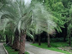 -苏州河梦清园环保主题公园