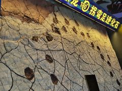 -诸城市恐龙博物馆