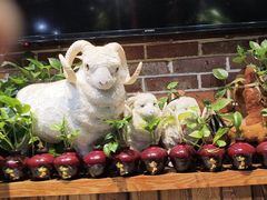 -草原塞蛮羊火锅城(港湾店)