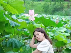 -白鹭湾湿地公园