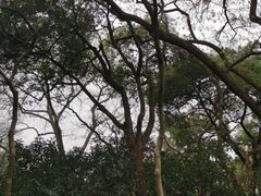 -墅园