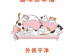 -lincat·猫舍(广州店)