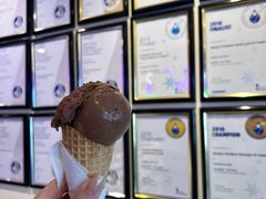 -Dooley's Premium Ice Cream