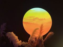 -ohbar live house(人广店)