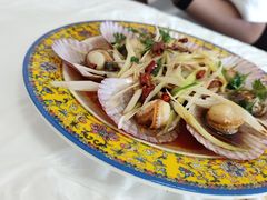 扇贝-胖子饺子馆·海鲜家常菜(海军博物馆店)
