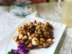 -丁老爷子苏香圆