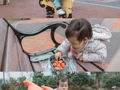 -枫香湖儿童公园