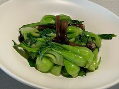 鸡纵菌炒小唐菜-悦融·京鲁菜·露台花园(安定门店)