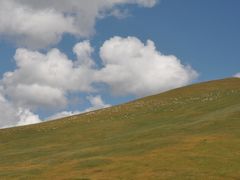 -扁都口生态休闲旅游区