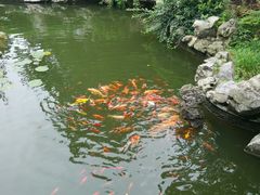 -扬州瘦西湖汇金酒店