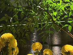 -Love Story爱情故事·养生SPA会所(新侨店)