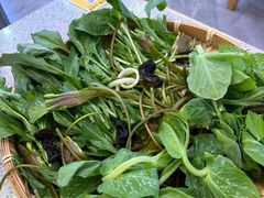 -阿婆情腊排骨火锅(金虹路店)