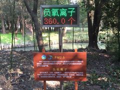 -同里国家湿地公园