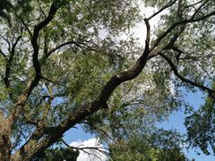 -长春市南湖公园