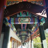 颐和园里喝咖啡