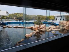-西海国立公园九十九岛水族馆