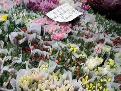 -循礼门鲜花花市(武汉循礼门店)