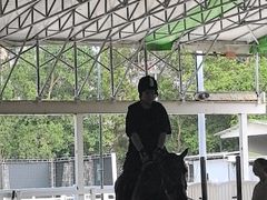 -名驭国际马术学院