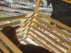 -美家乐农庄·露营·团建(大治路店)