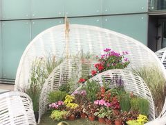 -重庆市江北嘴中央商务区中央公园