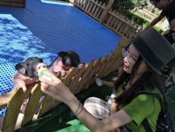 -萌宠亲子动物乐园(槐房万达店)