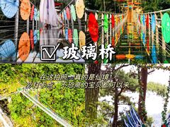 -九龙江国家森林公园