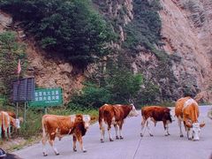 -驼梁风景区