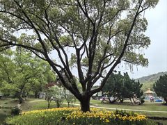 -无锡梅园公园