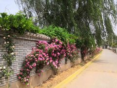 -长安上水缘度假庄园