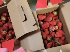 -小鱼草莓采摘园农家乐·小鱼餐厅