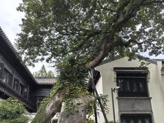 -杭州西湖柳莺里酒店