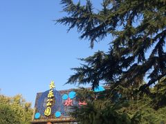 -西安市长乐公园